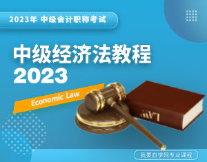 中級(jí)經(jīng)濟(jì)法教程2023