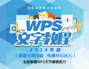 WPSֽ̳̣2024棩 